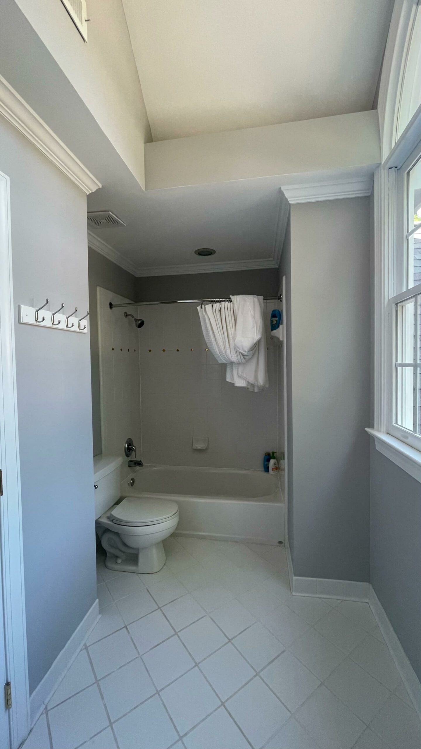 Grey painted bathroom by Oak City Coatings